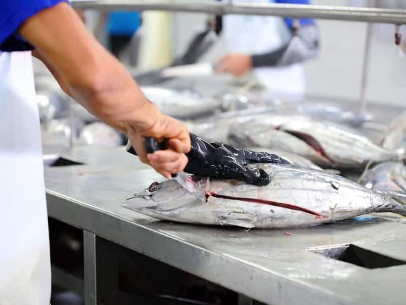 What Is The Highest Temperature Allowed For Cold Holding Tuna