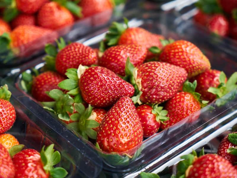 strawberries in a plastic container