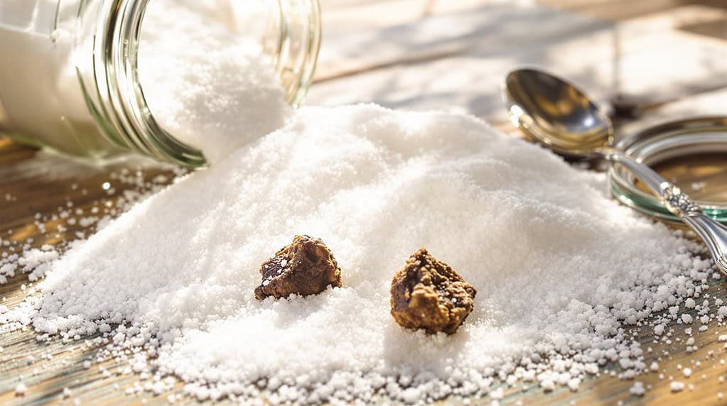 sugar s shelf life explained